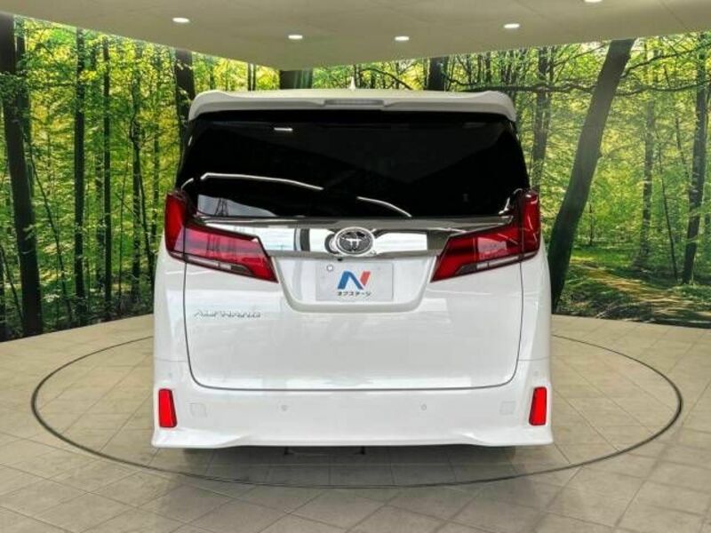 ALPHARD-15