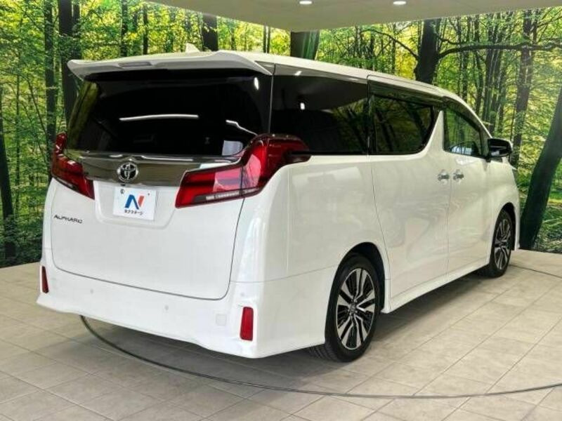 ALPHARD-17