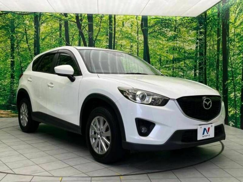 CX-5-17