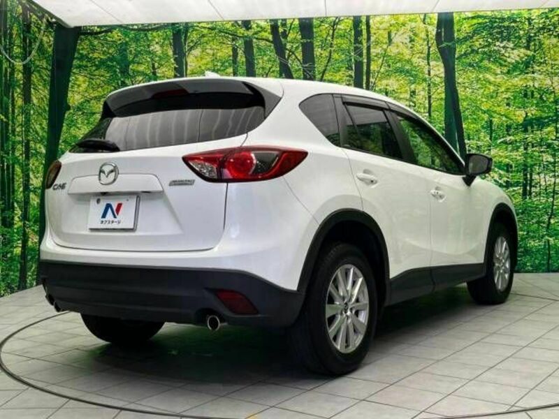 CX-5-18