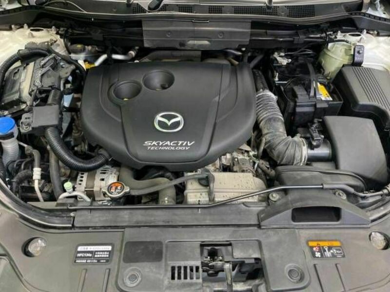 CX-5-19