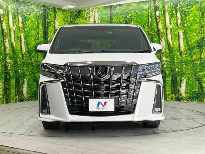 ALPHARD-14