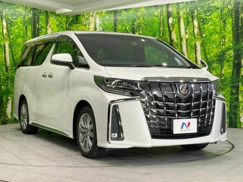 ALPHARD-16