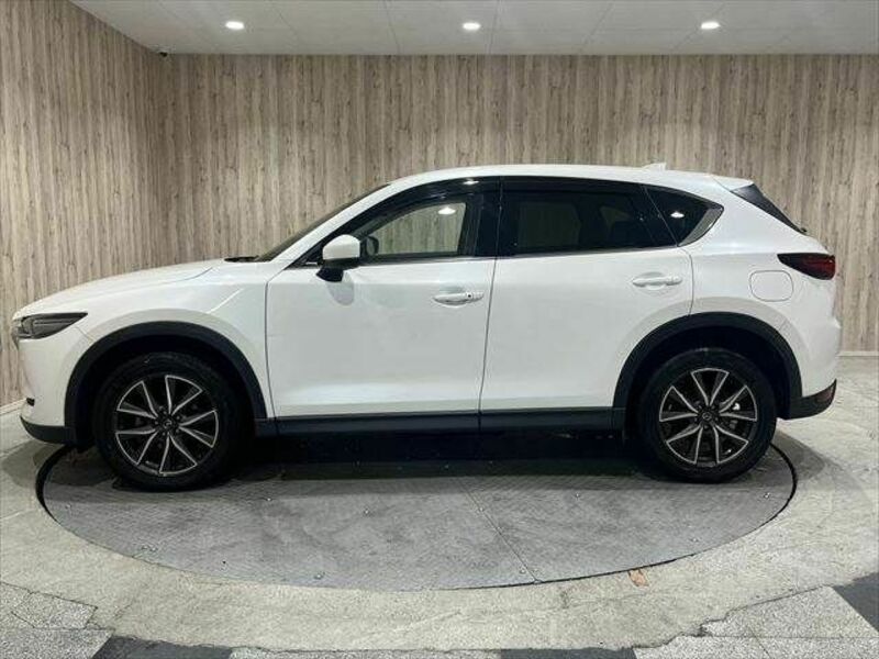 CX-5-19