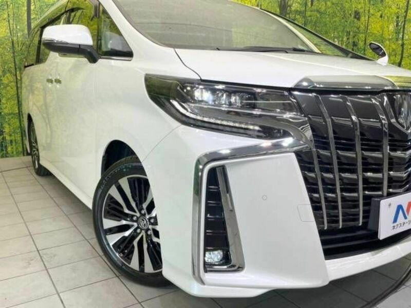 ALPHARD-12