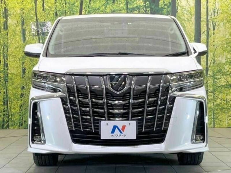 ALPHARD-14