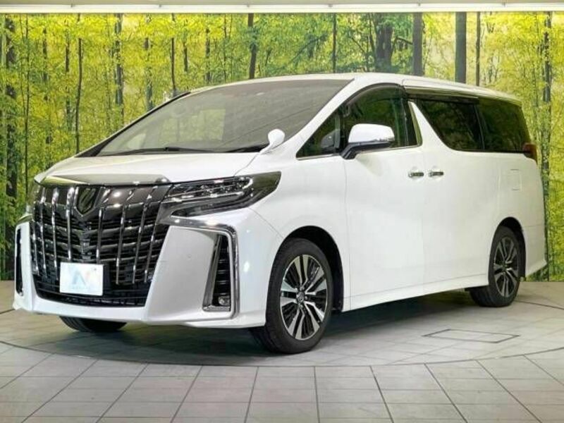 ALPHARD-16