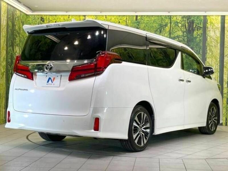 ALPHARD-17