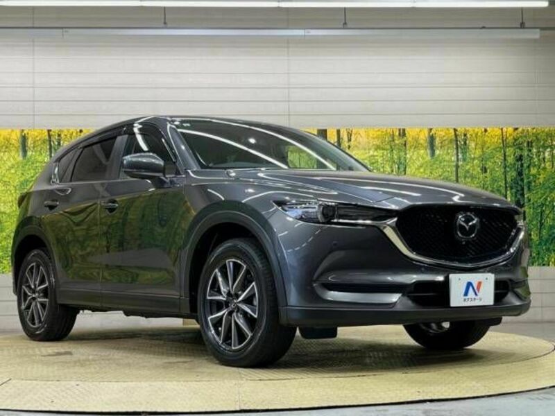 CX-5-16