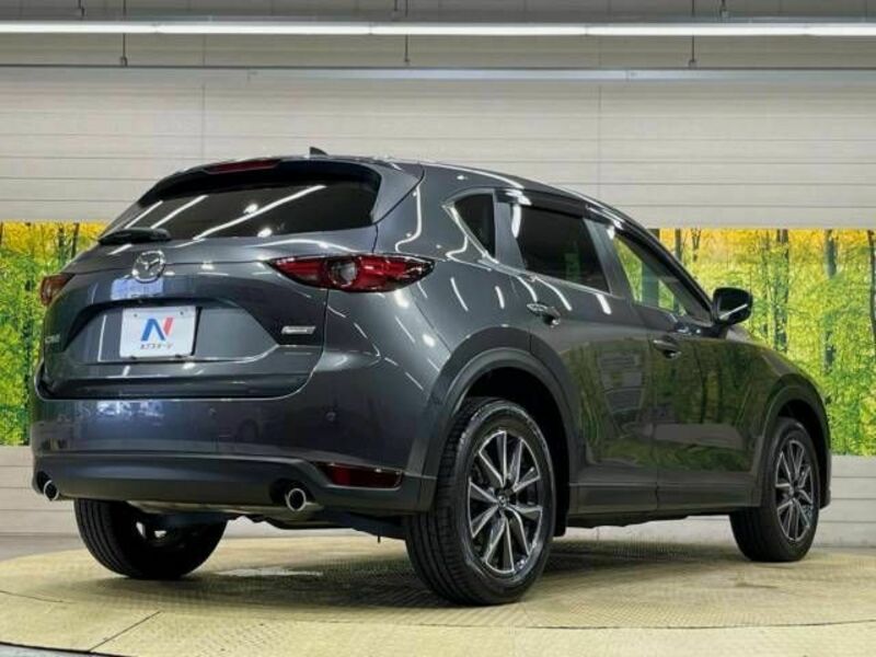 CX-5-17