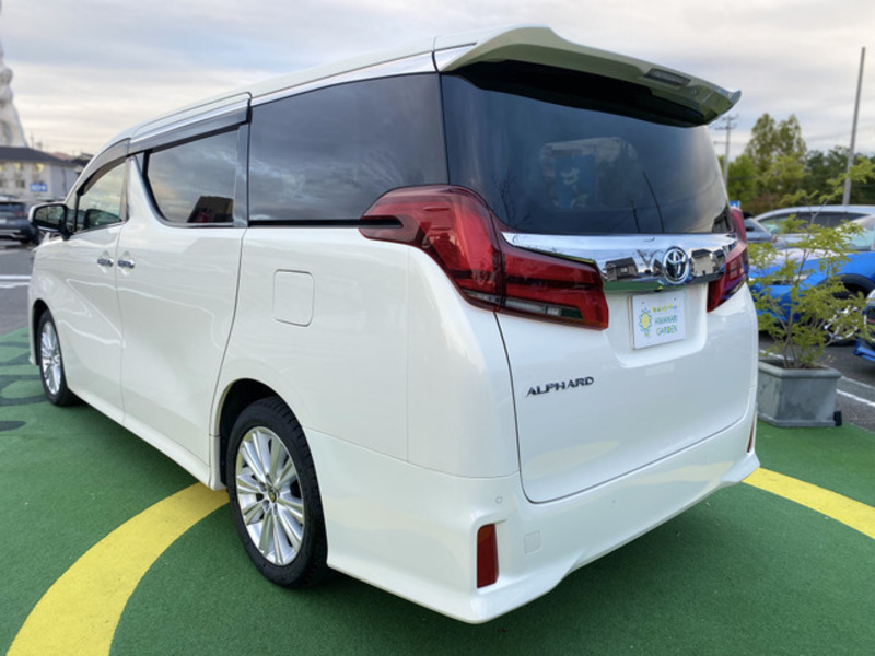 ALPHARD-6