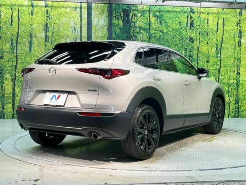 CX-30-17