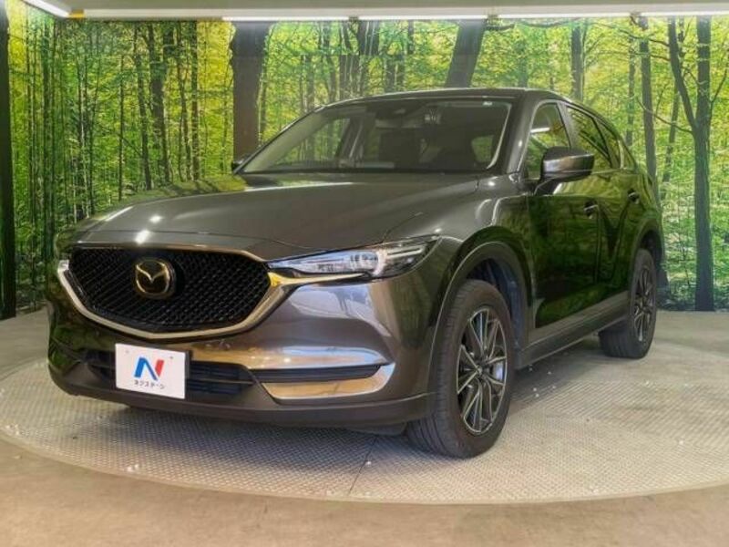 CX-5-13