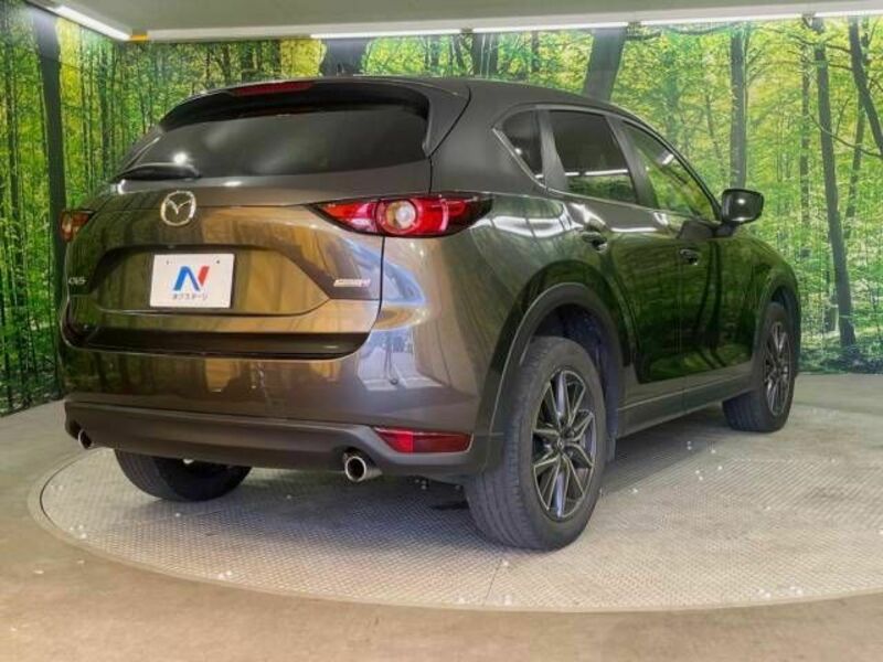 CX-5-17