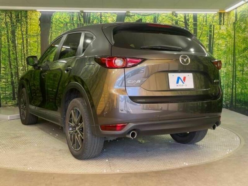 CX-5-19