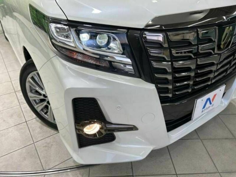 ALPHARD-13