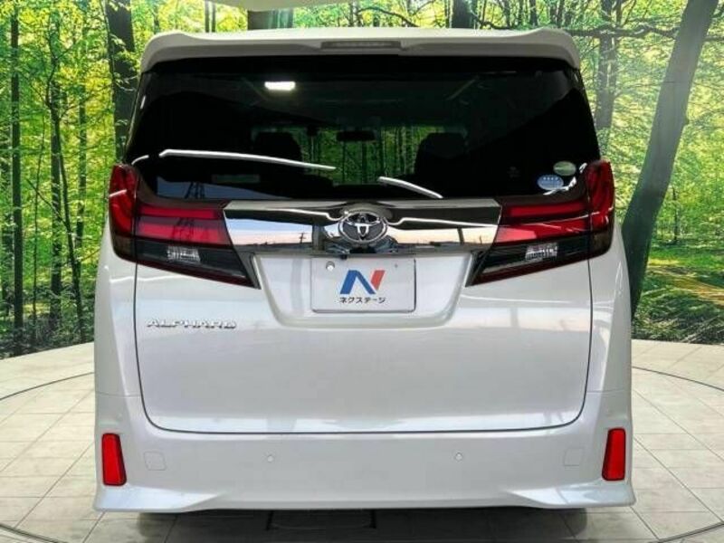 ALPHARD-16