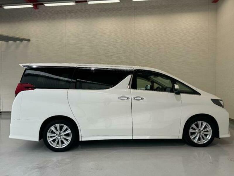 ALPHARD-16