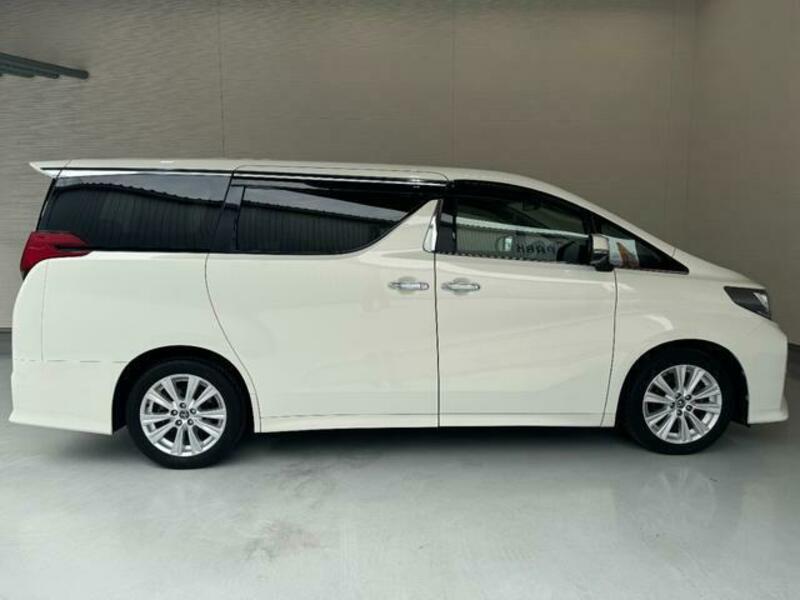 ALPHARD-15