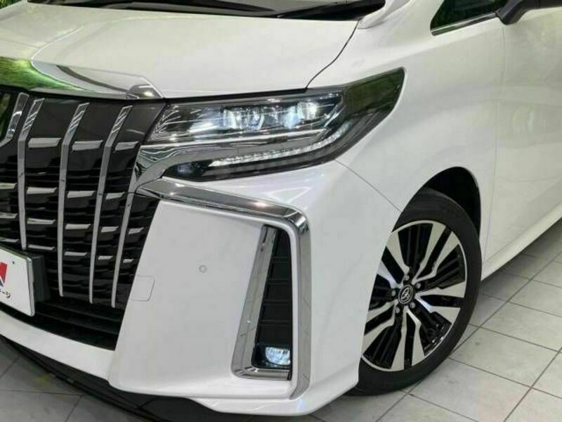 ALPHARD-13