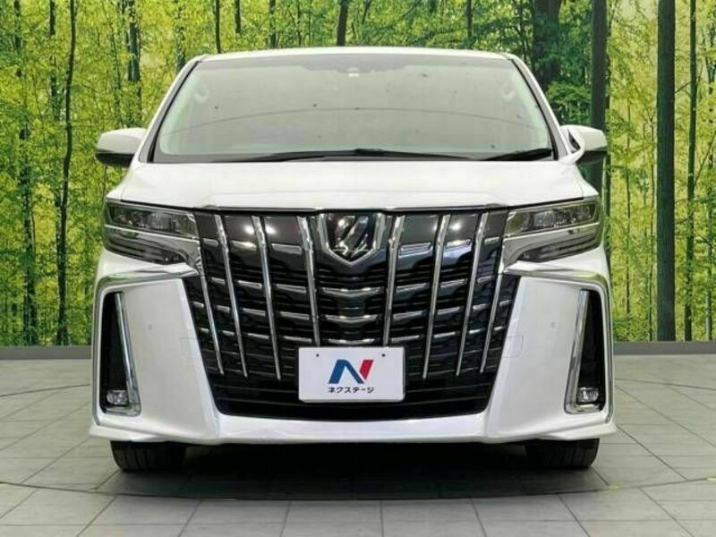 ALPHARD-15