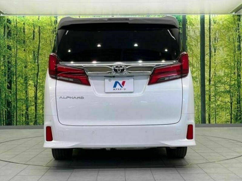 ALPHARD-16