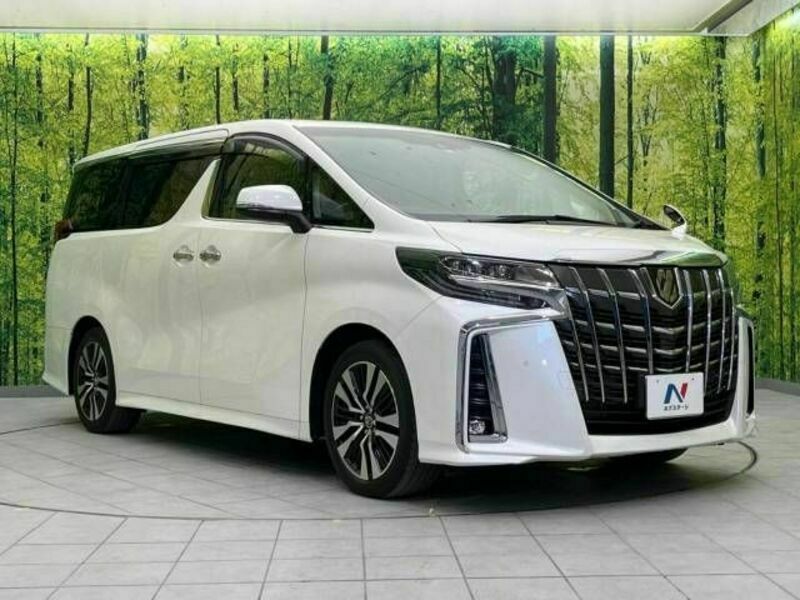 ALPHARD-17