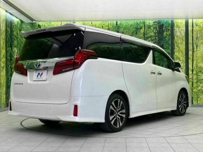 ALPHARD-18