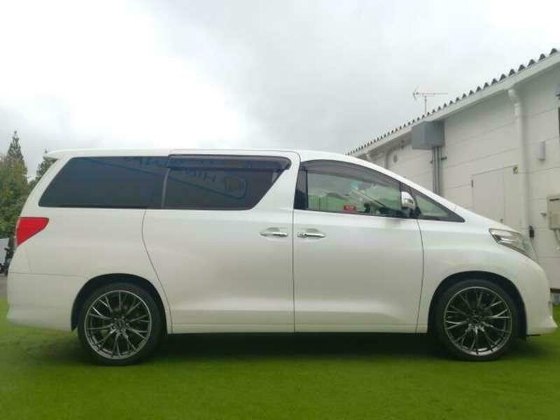 ALPHARD-17