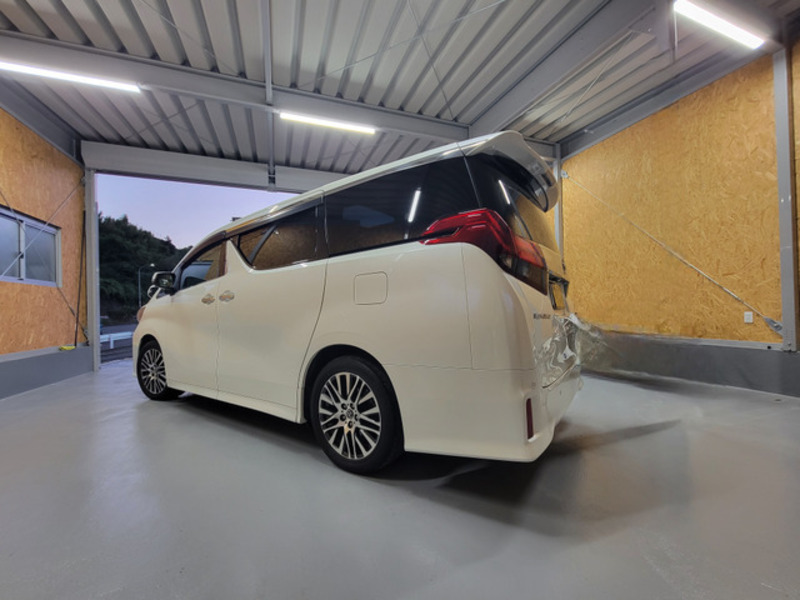 ALPHARD-8