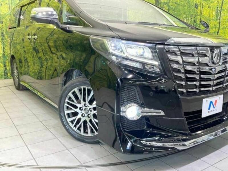 ALPHARD-12