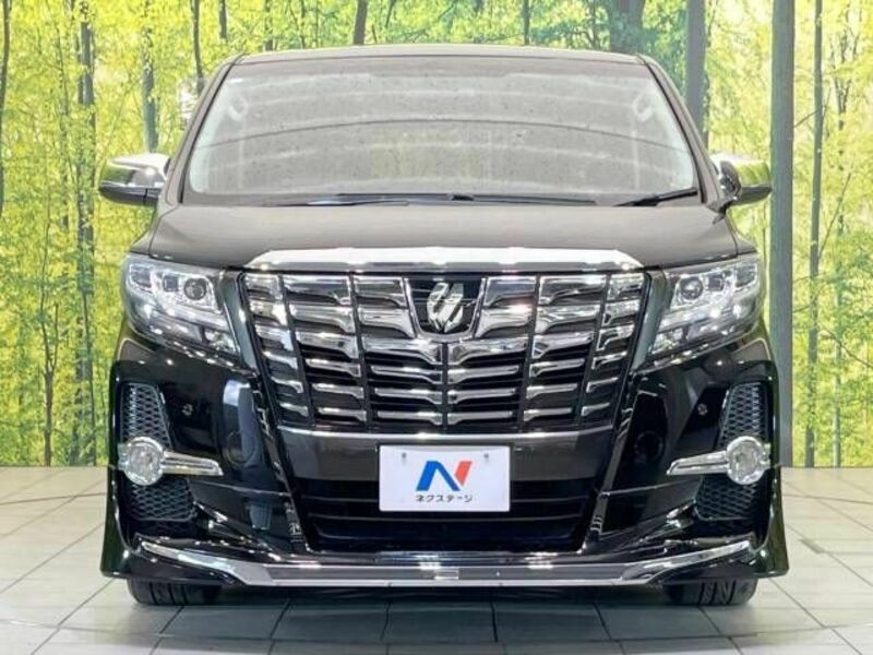 ALPHARD-14