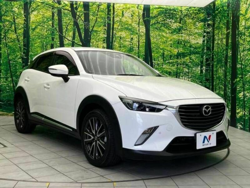 CX-3-16