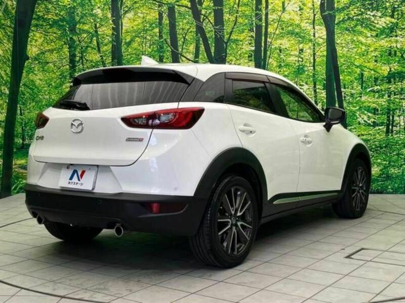 CX-3-17