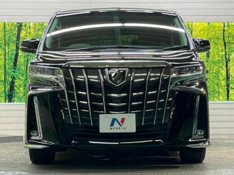 ALPHARD-19