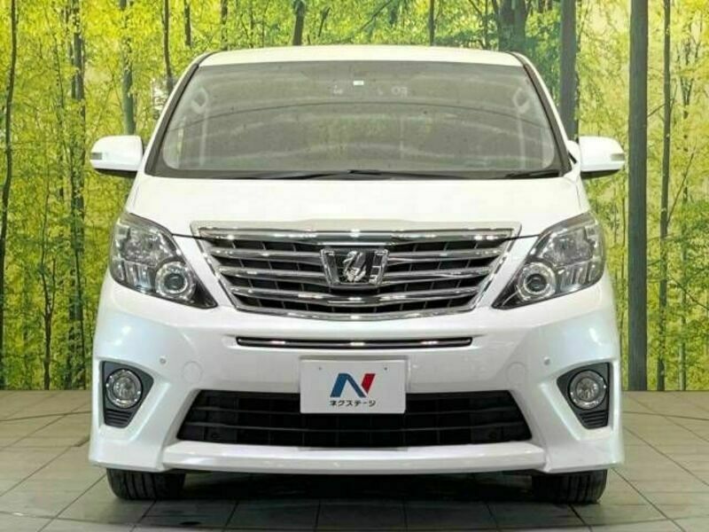 ALPHARD-15