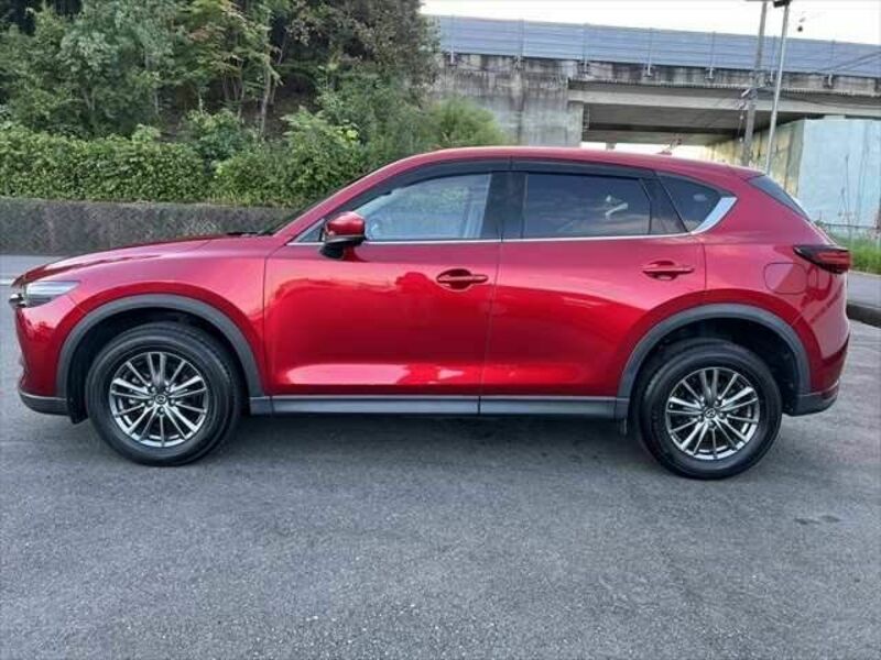 CX-5-19