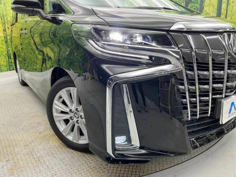 ALPHARD-13