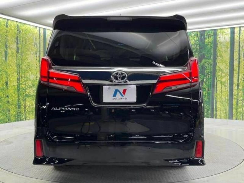 ALPHARD-16