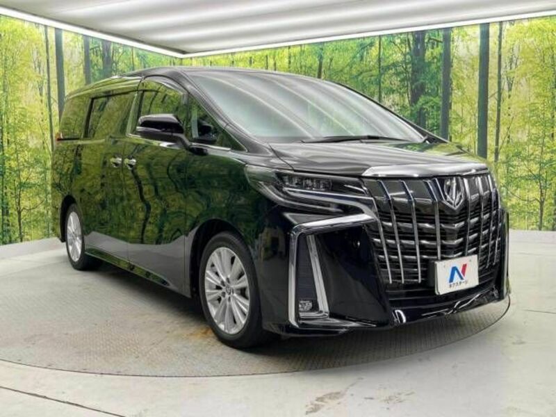 ALPHARD-17