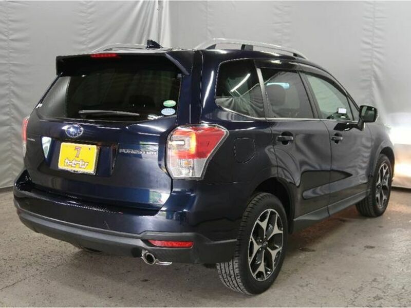 FORESTER-1