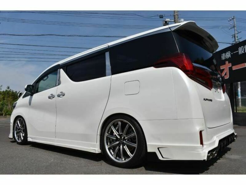 ALPHARD-8