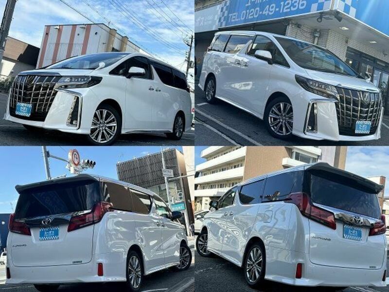 ALPHARD-10