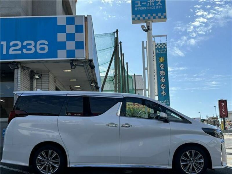 ALPHARD-42