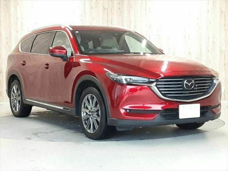 CX-8-17