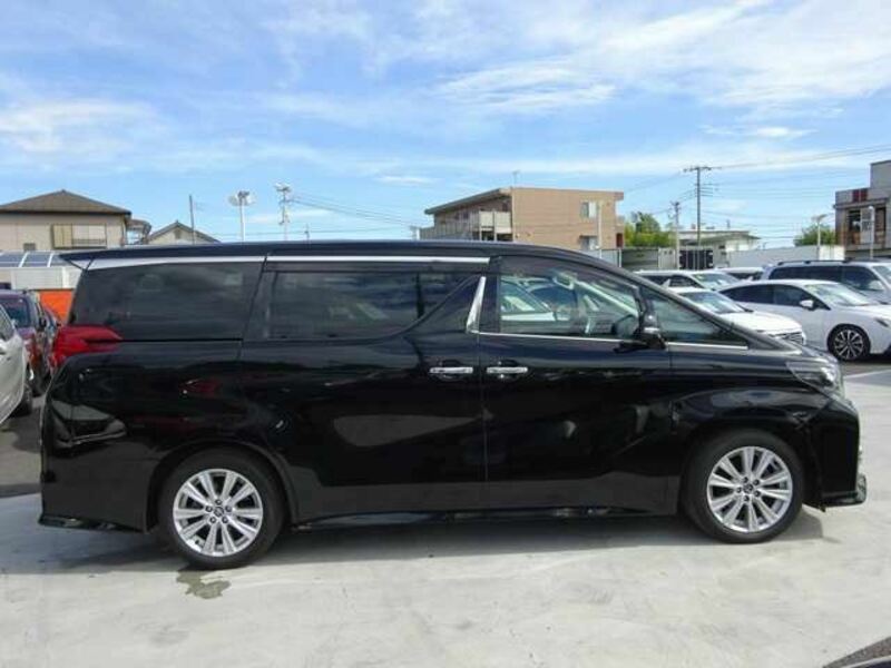 ALPHARD-10