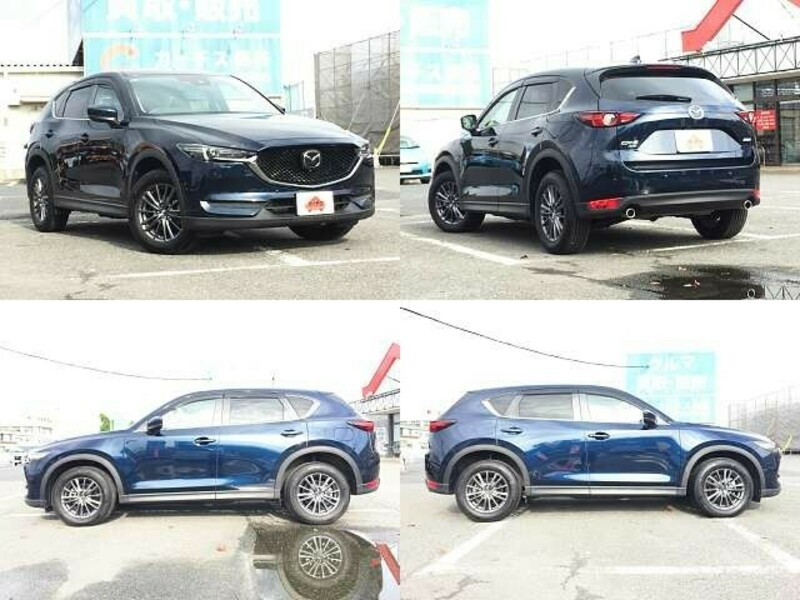 CX-5-3