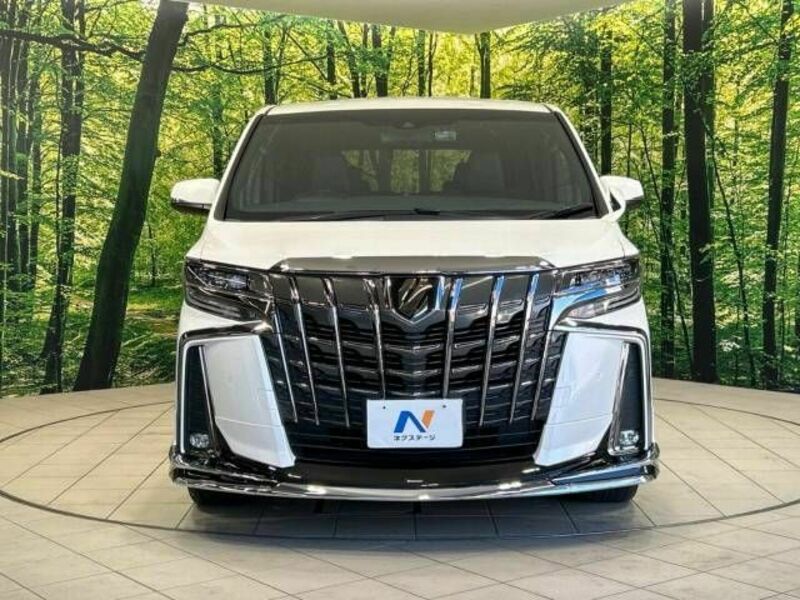 ALPHARD-15