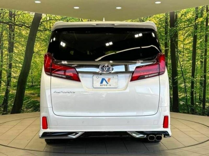 ALPHARD-16