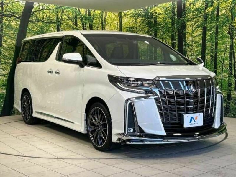 ALPHARD-17